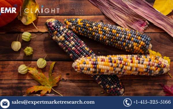 Native Corn Price Trend Report: An In-Depth Analysis