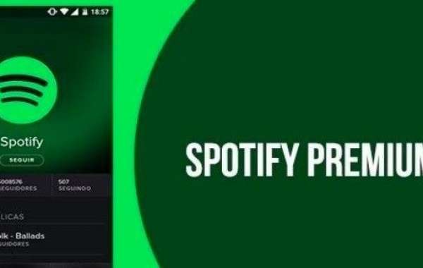 Troubleshooting Common Issues with Spotify Mod APK