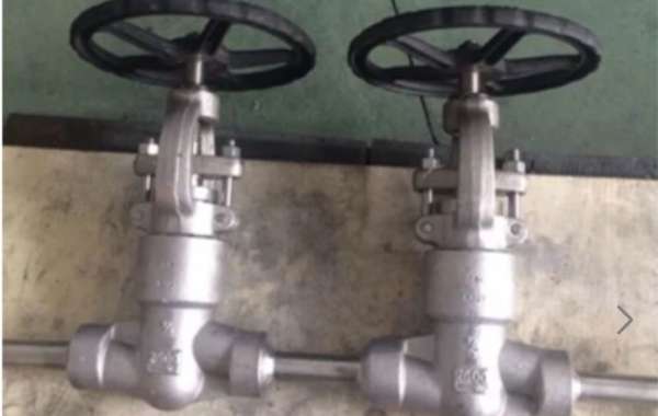 Alloy 20 Valve Manufacturer in India