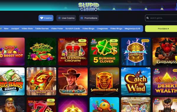 Stupid Casino Review: A Comprehensive Examination