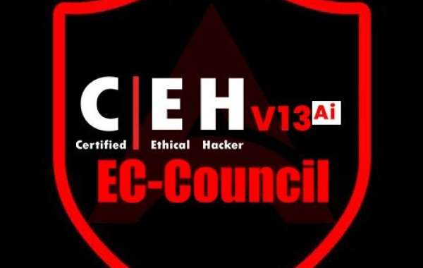 Best CEH v13 AI Training: Your Guide to Top Courses and Providers