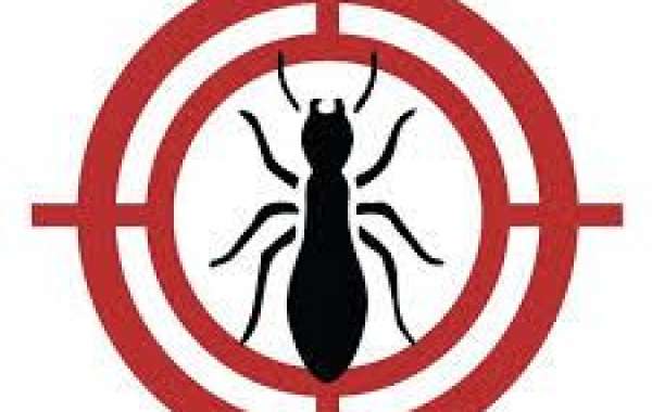 Mosquito Control: Protecting Your Home and Health from Pesky Pests