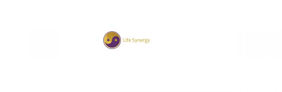 Life Synergy Retreat Cover Image