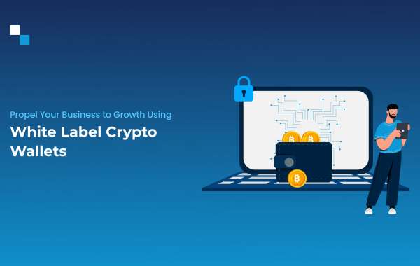 Merchant Guide to Fast Track Business Success with White Label Crypto Wallet