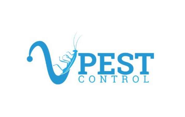 Expert Termite Control in Miami with V Pest Control