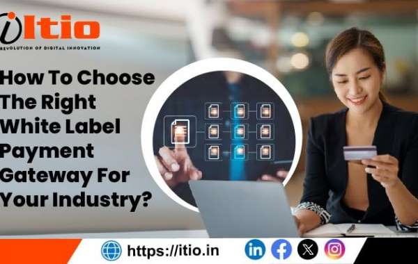 How to Choose the Right White Label Payment Gateway For Your Industry?