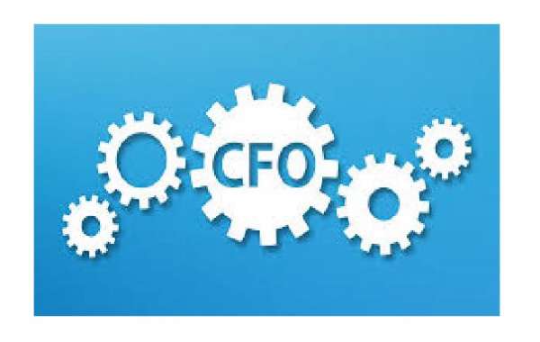 CFO Services… Why Are CFO Services In Dubai Important For Entrepreneurs?