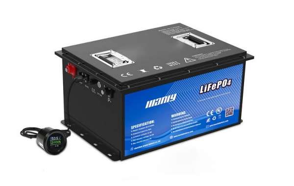 The Long-Term Benefits of 48V Lithium Golf Cart Batteries