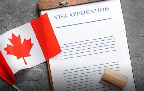 How an Immigration Consultant in Regina Can Simplify Your Visa Application Process