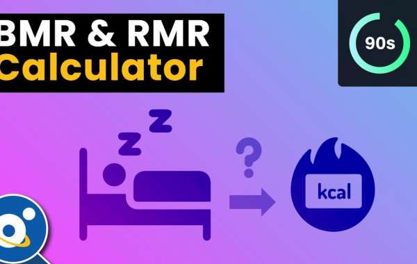 How Fitternify’s BMR Calculator Can Transform Your Health Journey