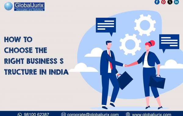 How to Choose the Right Business Structure in India: A Guide for Entrepreneurs