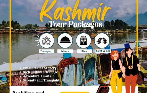 Discover the Best Kashmir Tour Packages of 2024 - Get Ready to Explore!