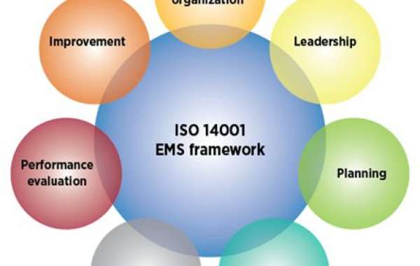 Introduction to ISO 14001: The Global Standard for Environmental Management | Dencon Consultants