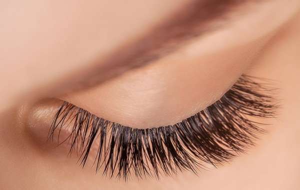 How to Choose the Best Lash Supply Store for Your Beauty Business