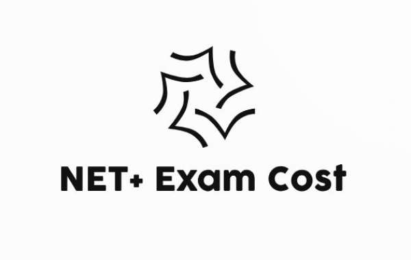 How Exam Dumps Make NET+ Exam Cost Easier to Manage