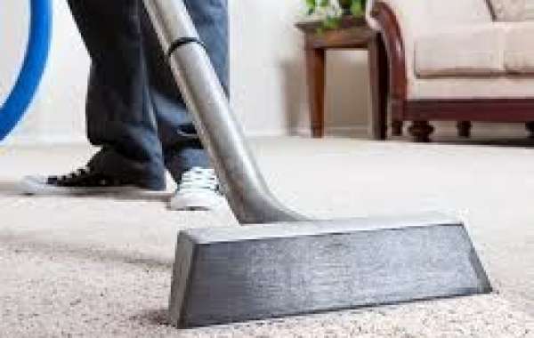 How Professional Carpet Cleaning Services Bring Life to Home Interior