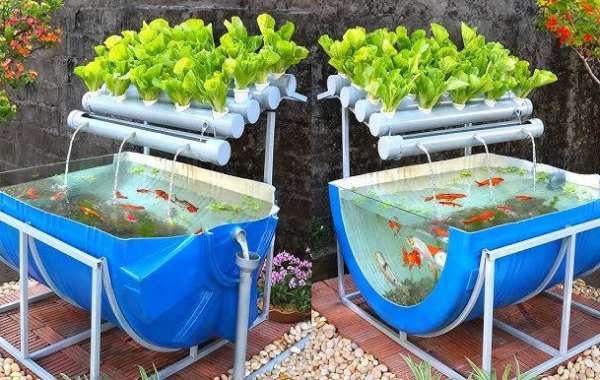 Global Aquaponics Market Report 2023 to 2032