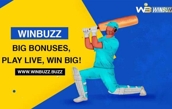 Unlocking Success: How to Win Big with Winbuzz Betting ID