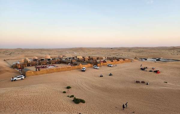 Evening Desert Safari in Abu Dhabi: A Magical Experience Under the Stars