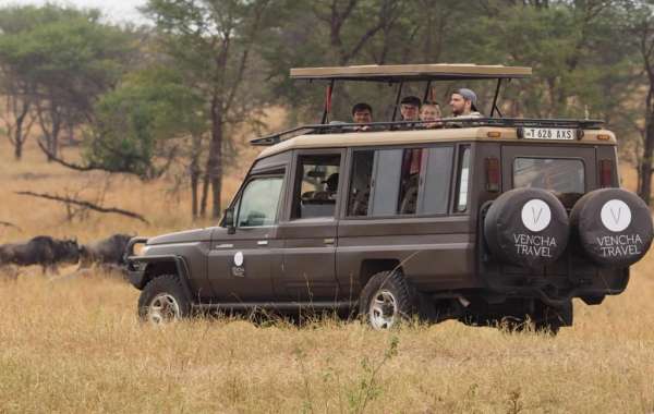 Unforgettable Family Safaris in Africa: A Journey for All Ages