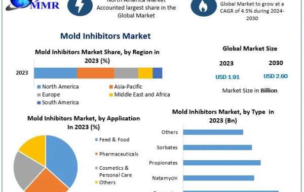 Mold Inhibitors Suppliers: Regional Market Dynamics and Growth Potential by 2030