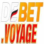 debetvoyage profile picture