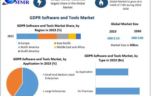 GDPR Software and Tools Market: Analysis of Growth and Size