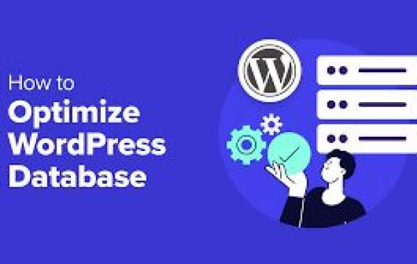 WordPress Database Optimization: Best Speed  Performance