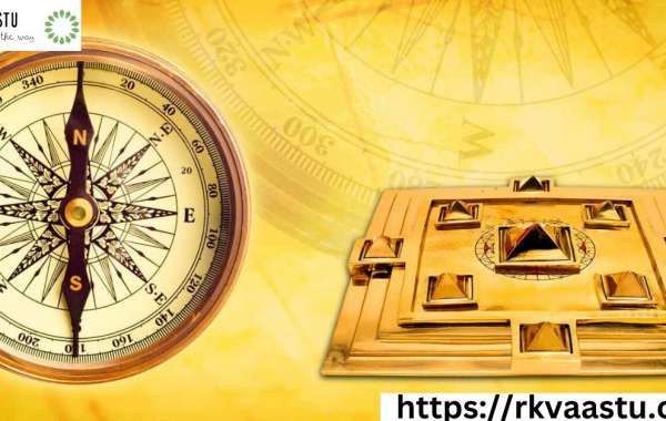 The Ultimate Guide to Becoming a Vastu Consultant Noida