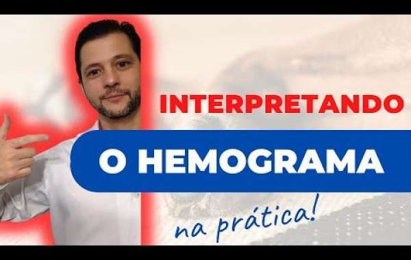 Entendendo o Eletrocardiograma: Uma Ferramenta Vital na Saúde dos Animais