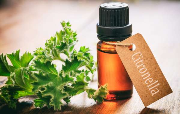 The Complete Guide to Buy Citronella Oil: Advantages, Applications, and Advice