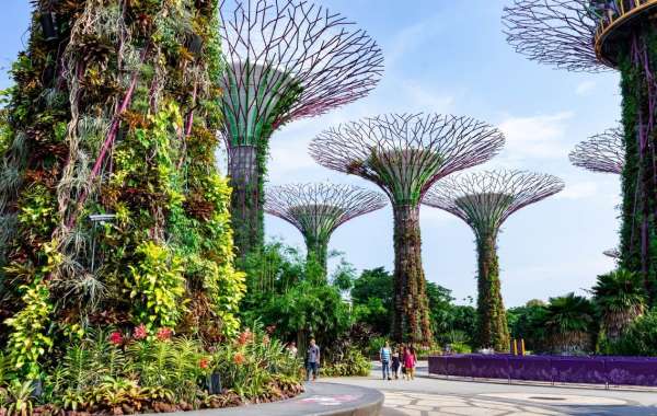 Singapore Tour Packages: Luxury and Affordability Combined by ITS Holidays Ltd