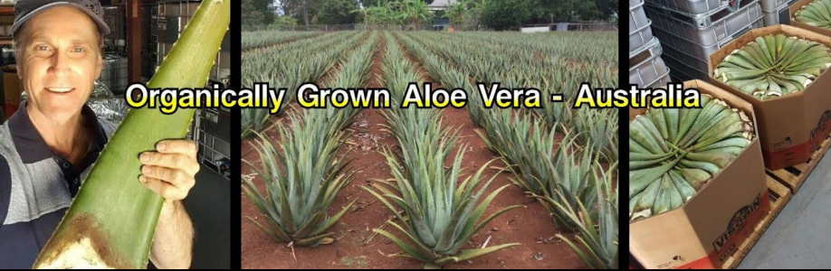 Aloe Vera Australia Cover Image