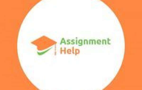 Assignment Help Ireland