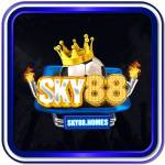 Sky88 homes profile picture