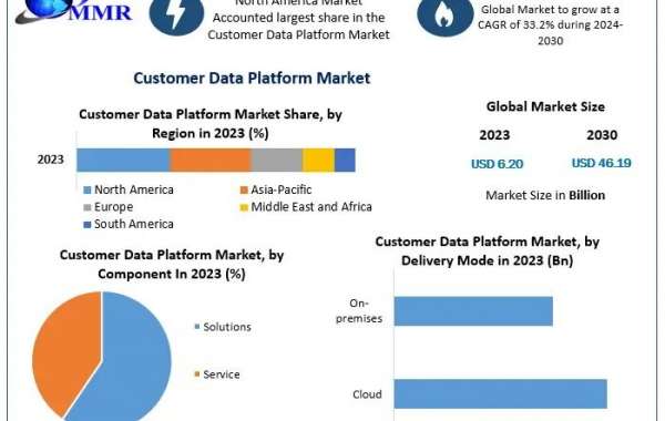 Customer Data Platform Market Competitive Landscape, Market Drivers, and Forecast to 2030