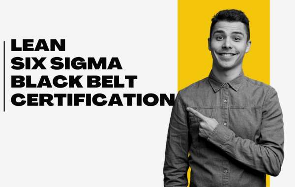 What is a Lean Six Sigma Black Belt? A Step-by-Step Guide