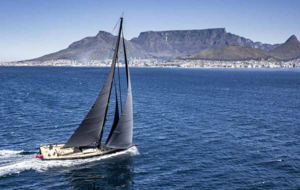 Discover the Magic of Boatica Cape Town: Your Ultimate 2024 Guide