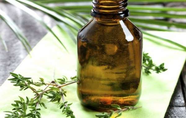 Organic Red Thyme Oil: A Potent Essential Oil for Wellness and Natural Healing