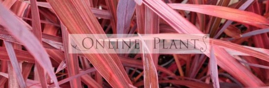 online Plants Cover Image