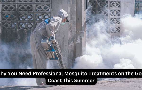 Why You Need Professional Mosquito Treatments on the Gold Coast This Summer