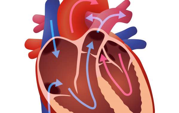 Understanding Heart Valve Disease: Causes, Symptoms, and Treatments