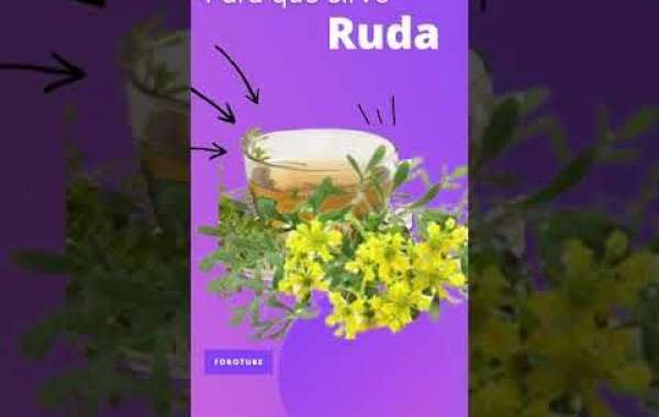 Descubre los Sorprendentes Beneficios de la Ruda Hembra: Una Aliada Natural para tu Salud