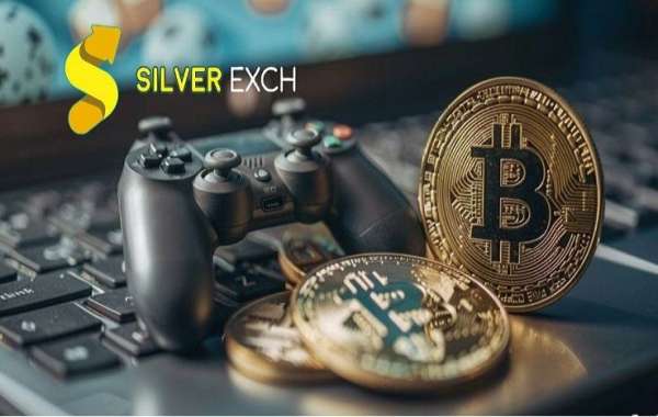 Unveiling the World of Gaming with Silver Exchange Login Experience