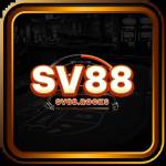 SV88 rocks profile picture