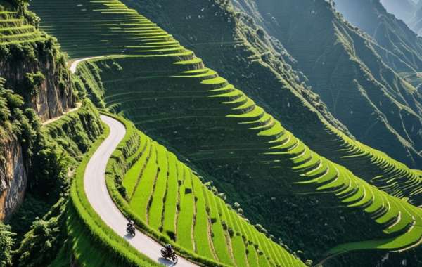 Vietnam eVisa: Your Gateway to Exploring a Land of Wonders