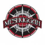 Meshuggah Merch Profile Picture