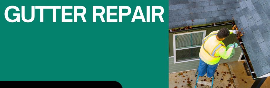 Gutter Repair New jersey Cover Image