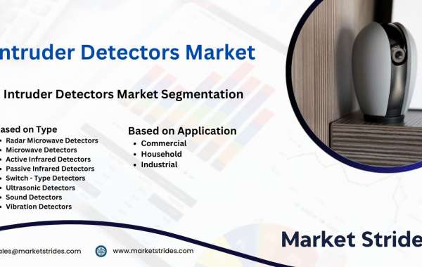 Intruder Detectors Industry: Growth and Forecast 2031 | Market Strides