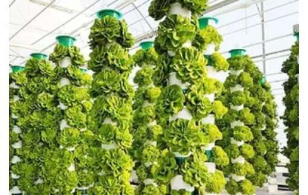 Vertical Farming Market In-depth Insights, Business Strategies and Huge Demand by  2035